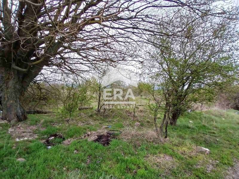 Парцел за продажба със статут на земеделска земя в село Добрина