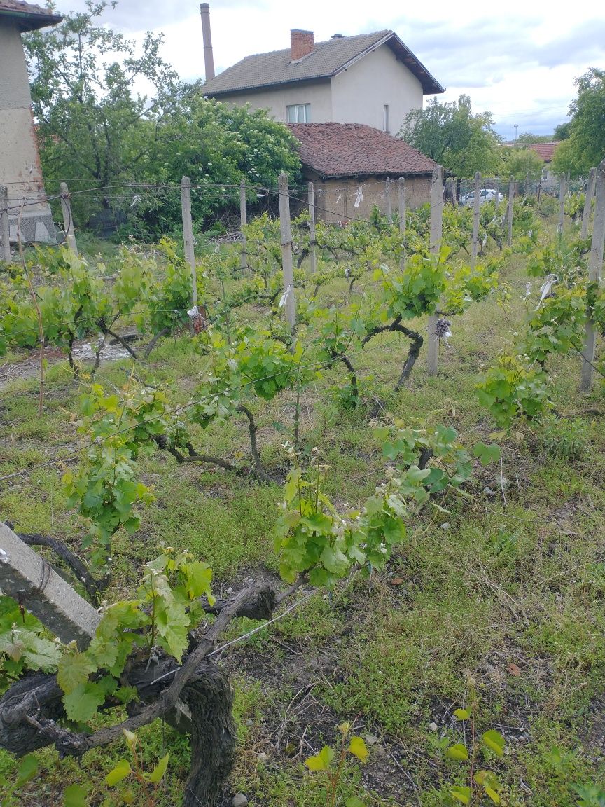 Продава УПИ 405кв.м-с.Големо Село община Бобов дол