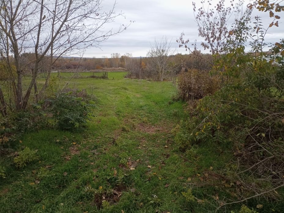 Продава се Парцел в с. Пчелник, Област Варна - 855 кв.м за 18 €/кв.м - Снимка #3