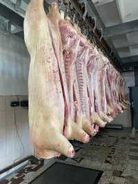 Мясо свинины тушевое