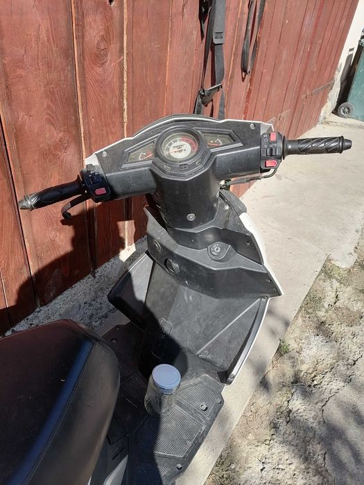 Scuter 49 CM 600€