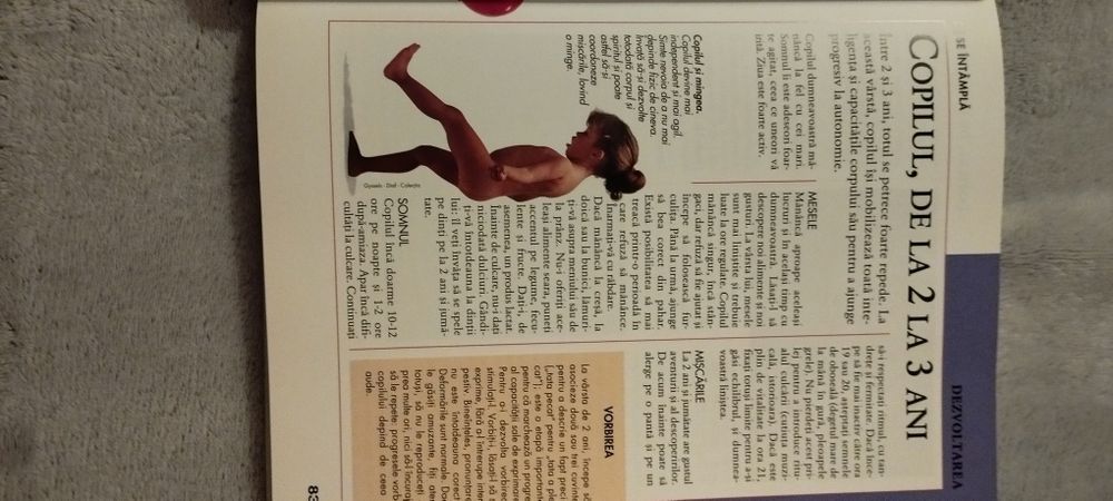 Ghidul mamei grijuli - Larousse