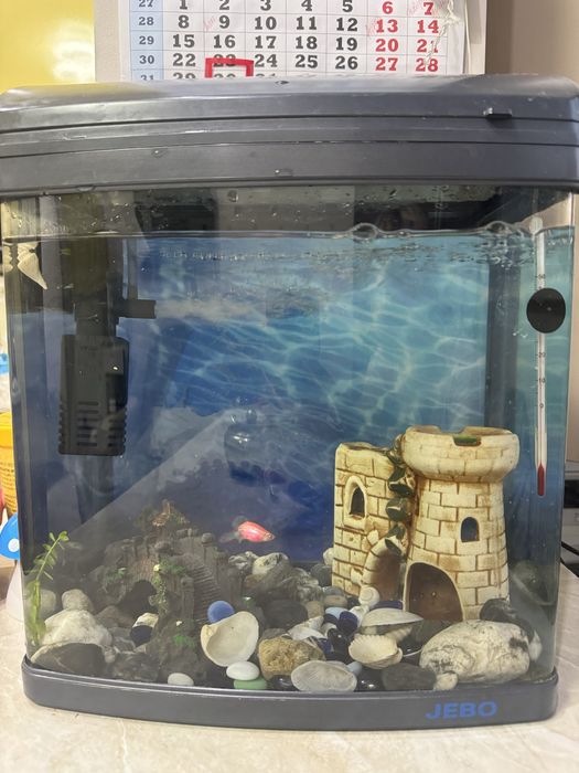 Аквариум Jebo с рыбками, срочно