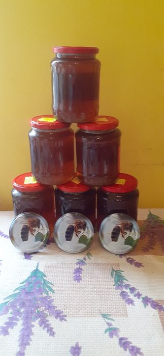 Vând miere poliflora, producție 2023