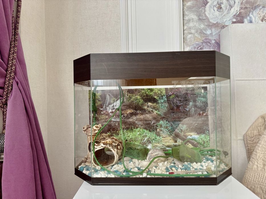 Аквариум в сборе, в отличном состоянии