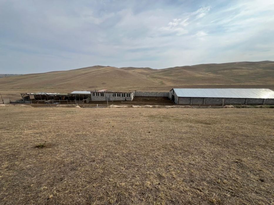 Продается Фазенда