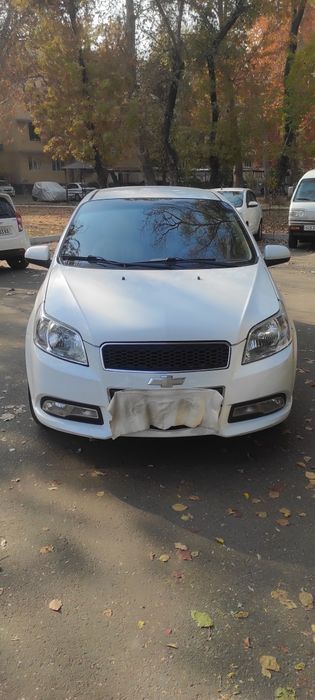 Nexia 3 eksport variant