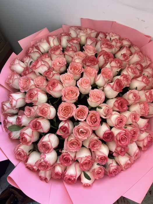 букет 101 голандский роз и 25 метровый роза