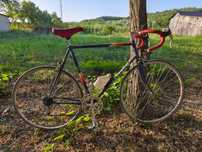 Cursiera Peugeot de colecție 10 Kg