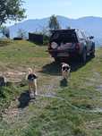 Catei CRB ( bucovina)