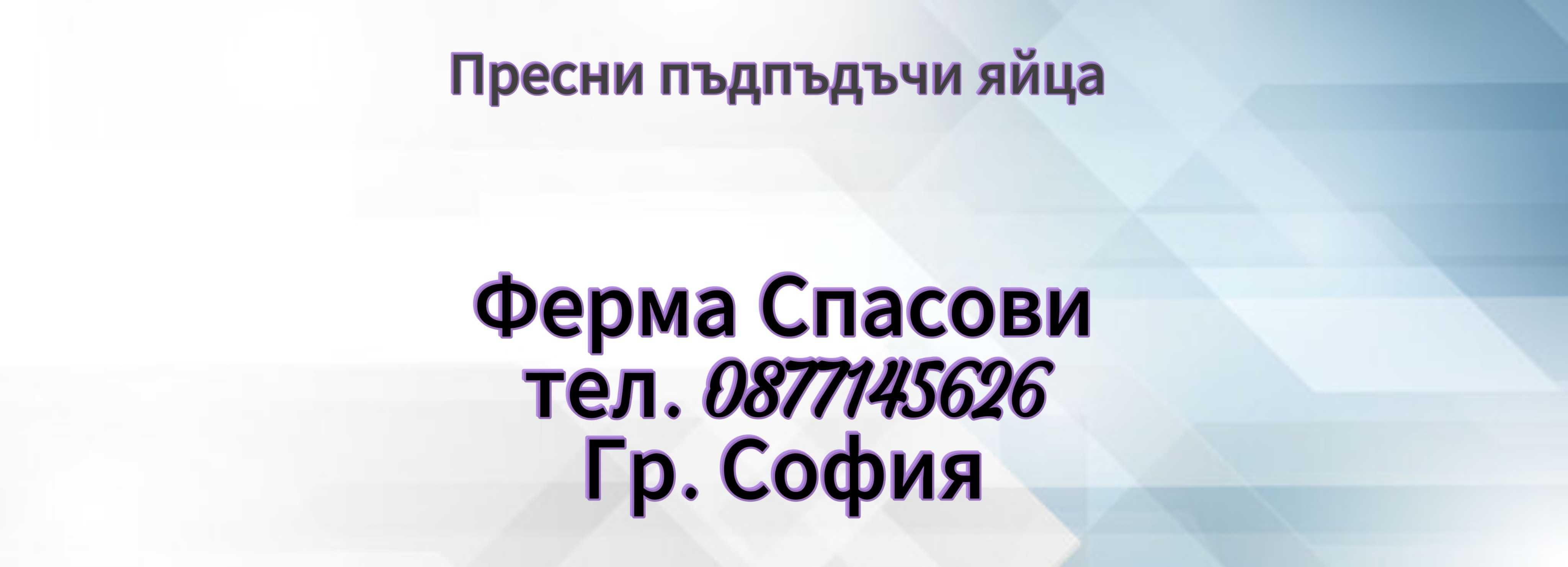 Продавам пресни пъдпъдъчи яйца