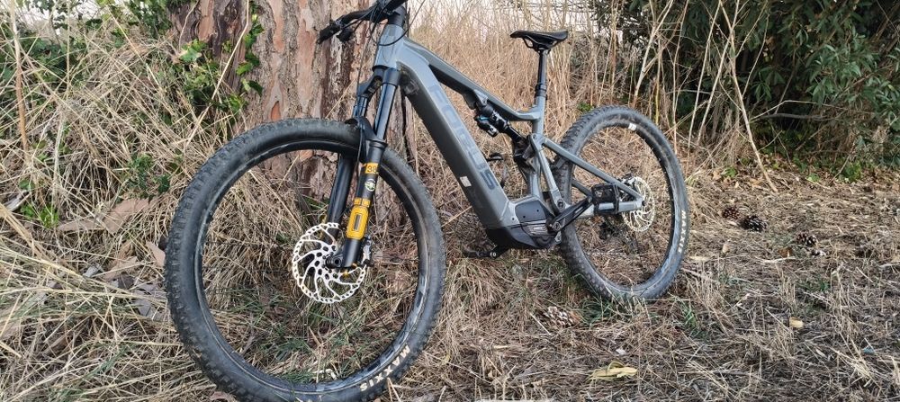 MTB Focus full  29 M