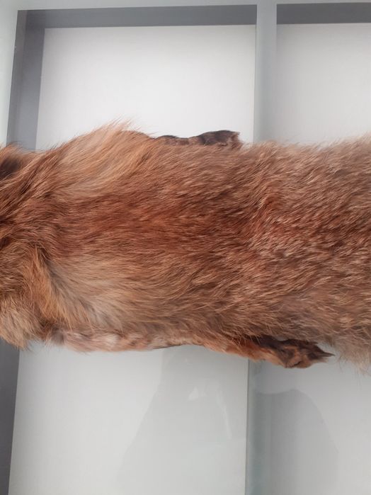 Яка от лисица естествен косъм цяла лисица