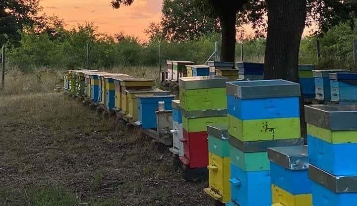100 % натурален пчелен мед - букет