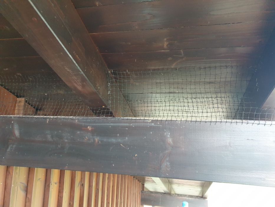 Plasă porumbei pasari