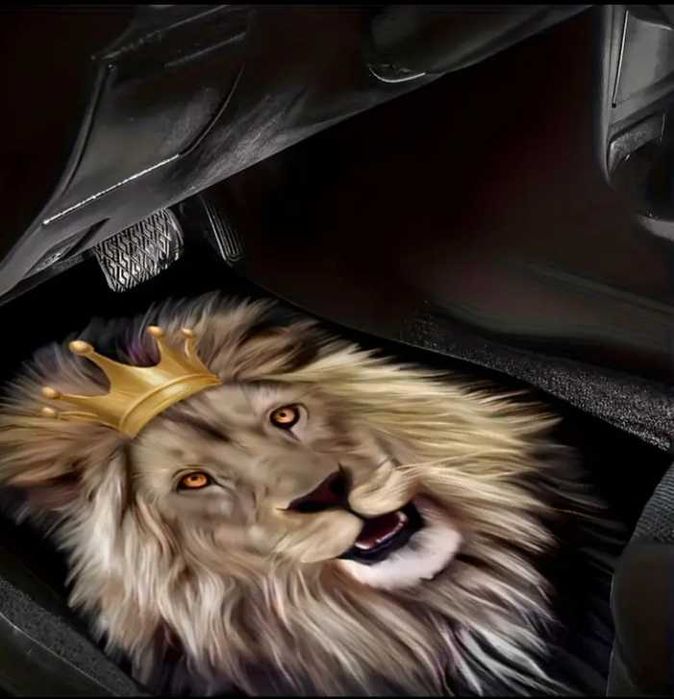 Коврики в салон авто