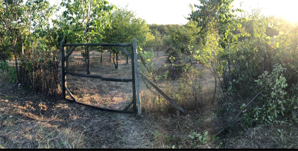 Teren extravilan Paulesti 1000mp