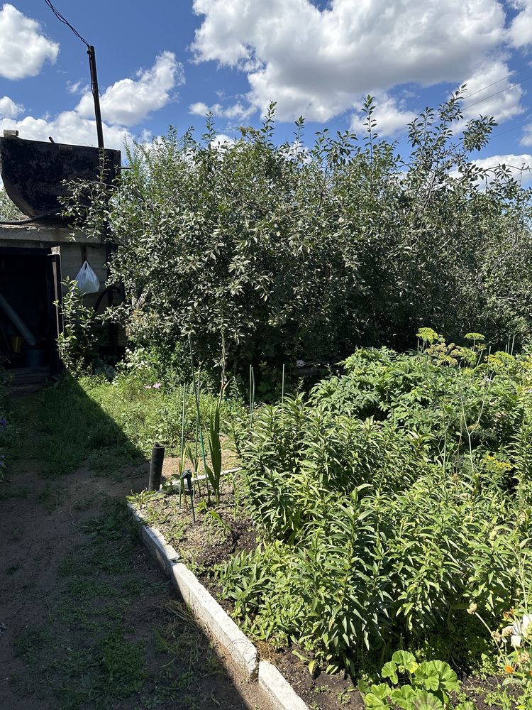 СРОЧНО Продам дачу грп Энтузиаст