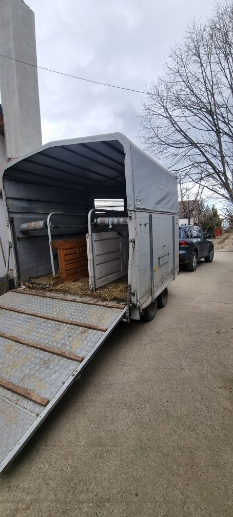 Remorca de 3 cai bockmann din aluminiu pentru transport animale