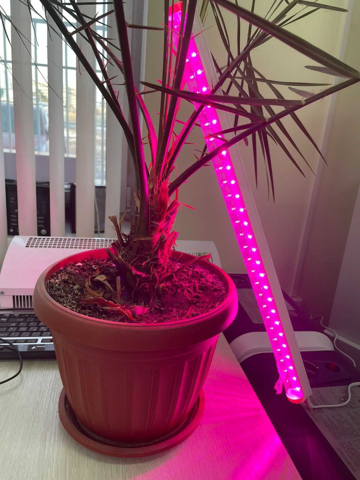 Светильник для растений (Фито-лампа)