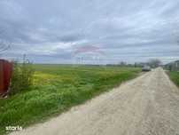 Teren Focsani / Drumul Suraii / Mandresti str Nuferilor