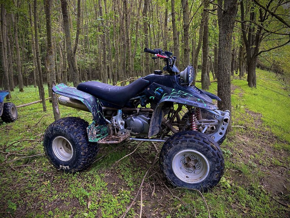 Yamaha Warrior 350cc