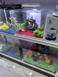 Mini akvariumlar