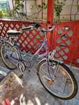 Biciclete cu portbagaj