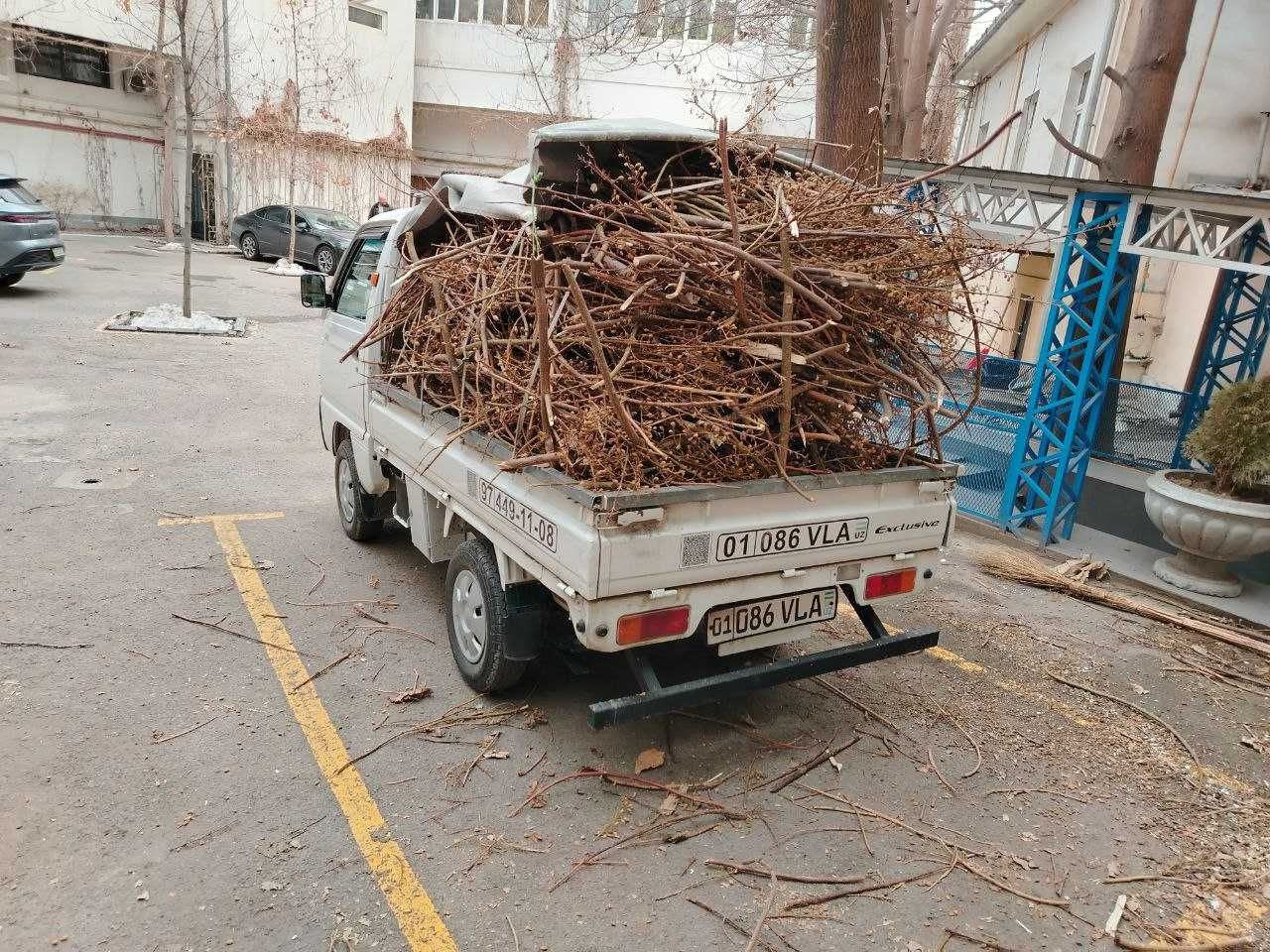 Вывоз мусор musor tasish