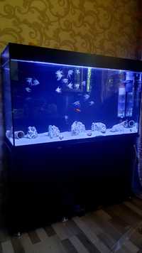 аквариум новый с рыбками