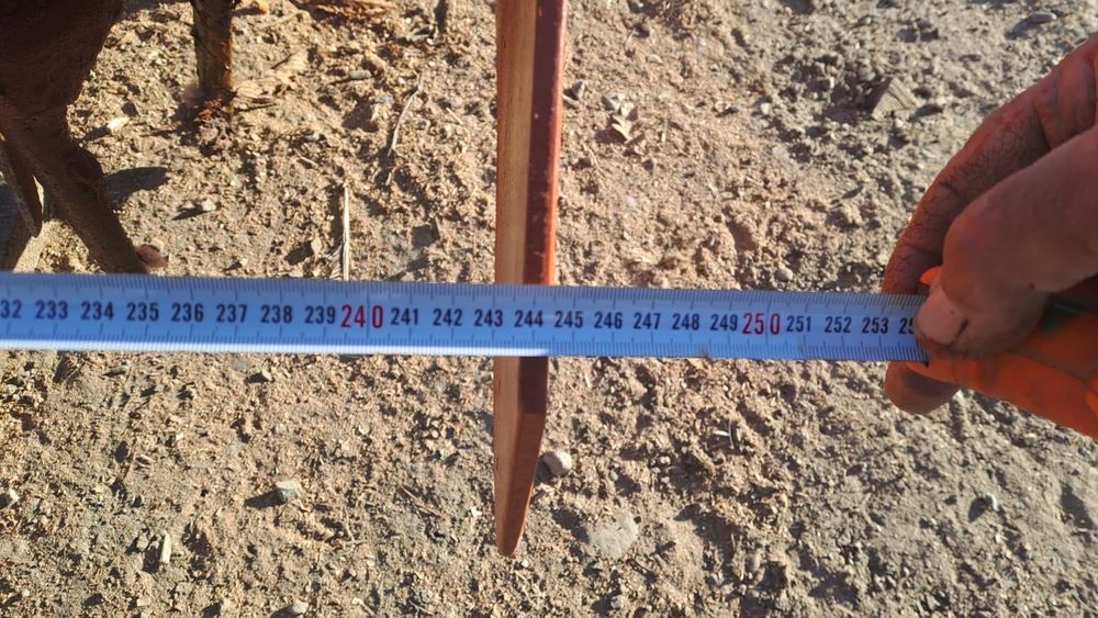 Grapă rotativă freză