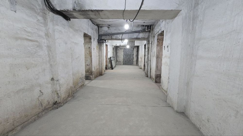 Помещение в центре города под зоогостиницу, хостел, игровой клуб