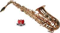 Saxofon Alto Karl Glaser AURIU curbat Sax NOU Saxophone Germania