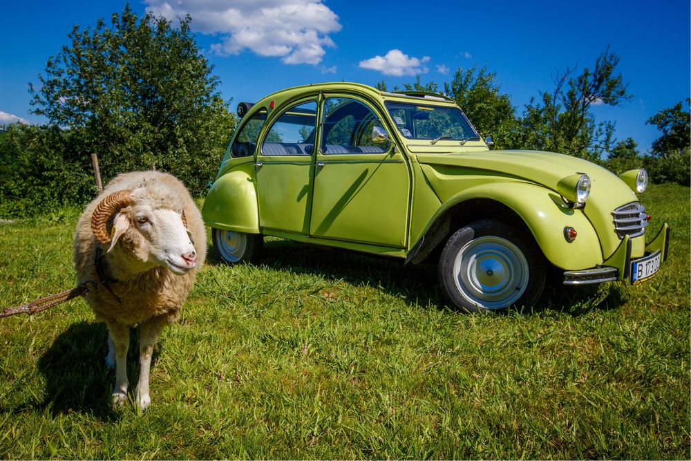 Inchiriez masini epoca Citroen DS, 2CV, Rolls Royce, MGA Roadster