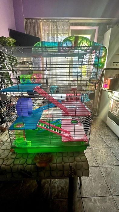 Vand cusca pt hamsteri