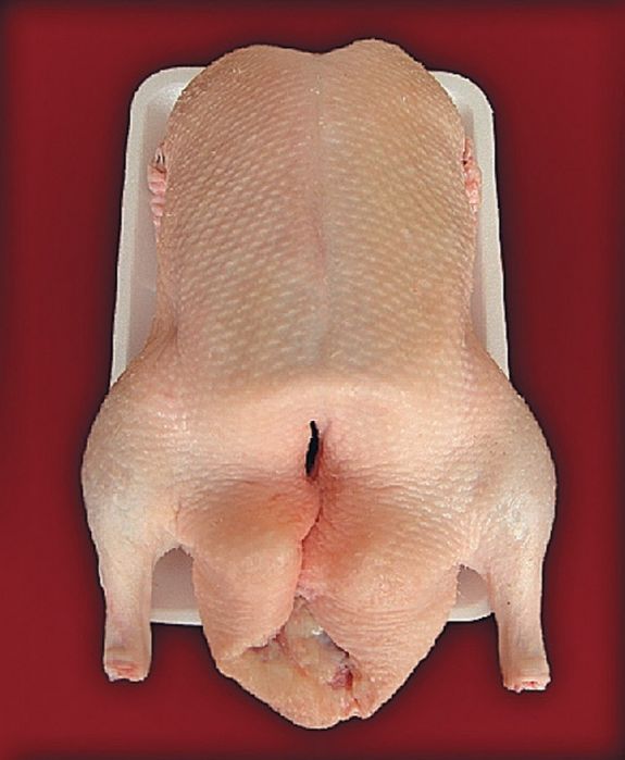 Мясо гуся, гусятина