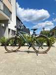 Focus Whistler 3.8 29 Hardtail Mountain Bike