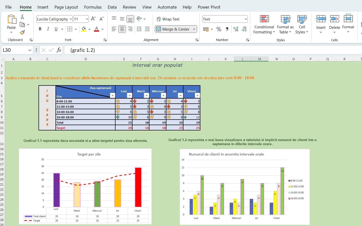 Meditatie Excel nivel incepator, intermediar, avansati, proiecte