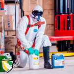 PestControl Bucuresti - Servicii DDD Bucuresti- Dezinsectie Deratizare