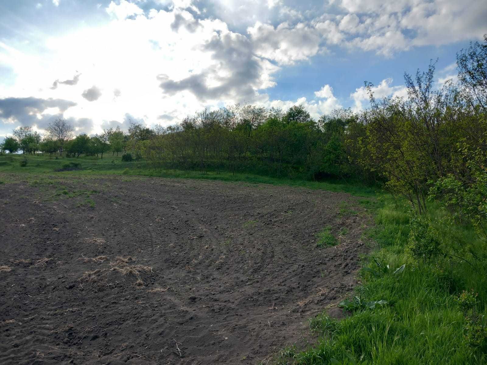 Teren intravilan, 22 ari, cu toate utilitățile, comuna Papiu Ilarian.