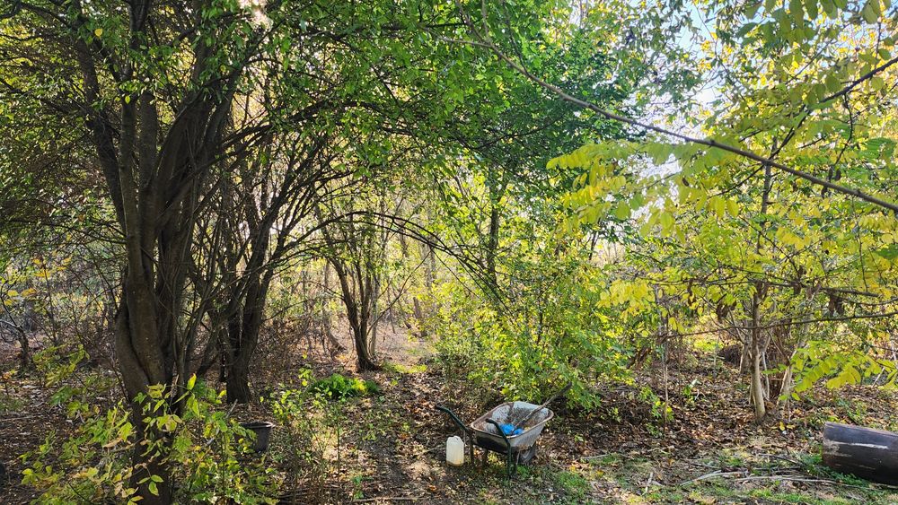 Propietar vand teren Intravilan Magurele ilfov