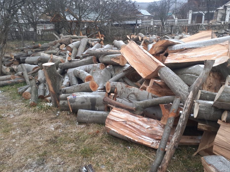 Vând lemne de foc uscate