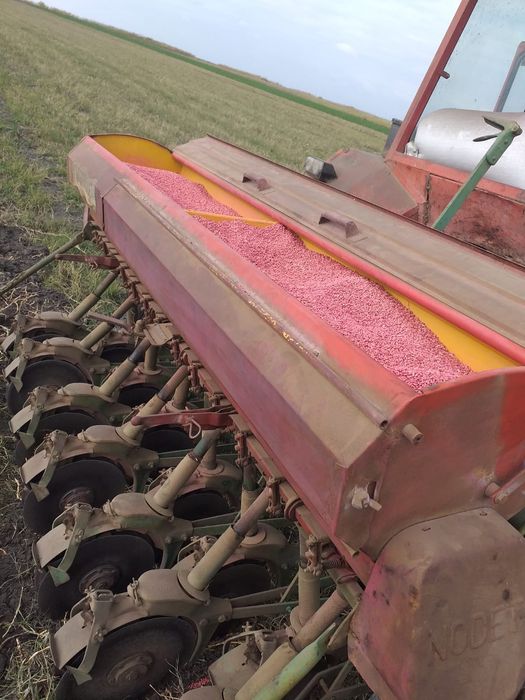 Semănătoare de grâu