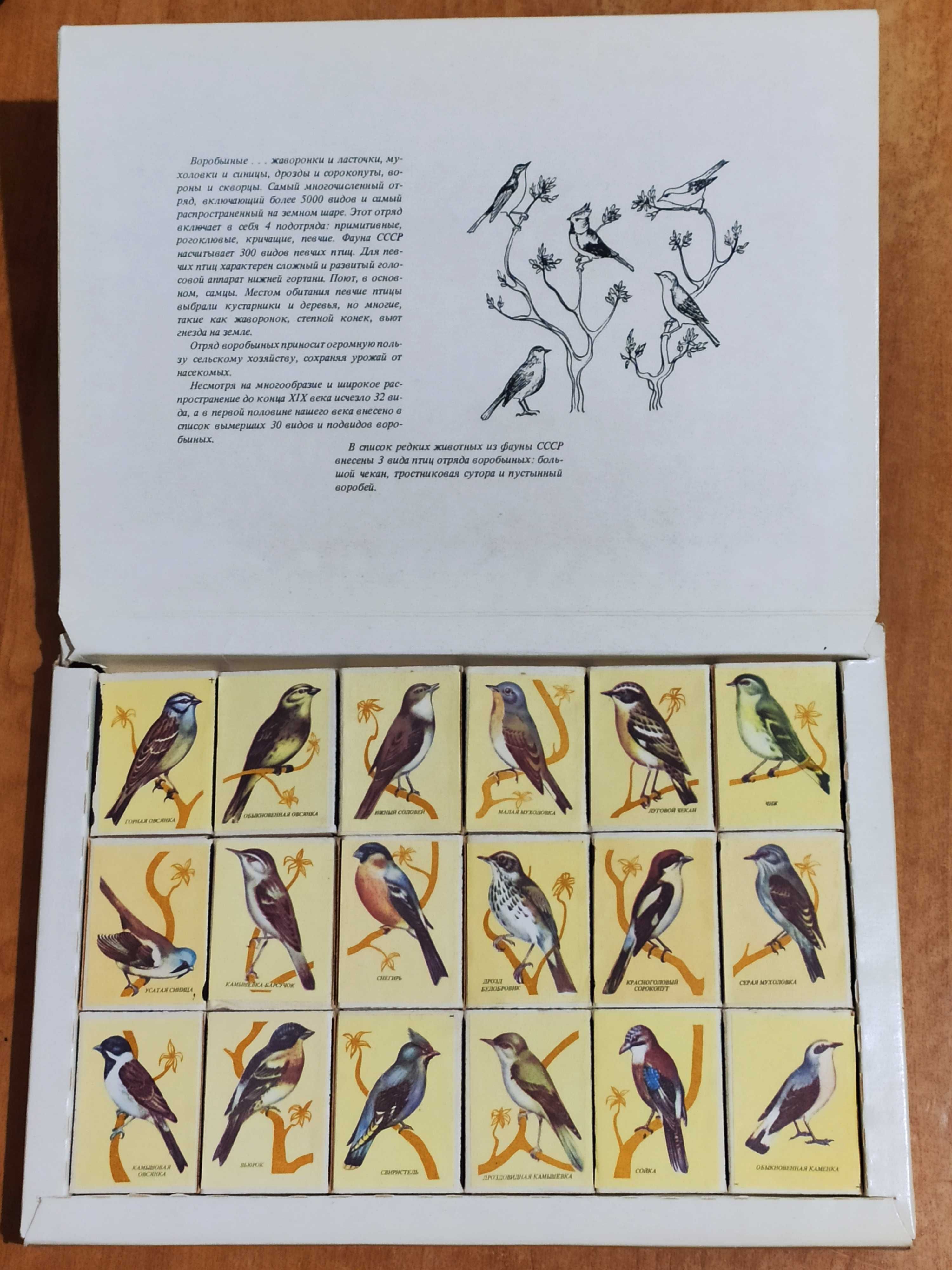 Коллекционный сувенирный набор спичек "Певчие птицы"