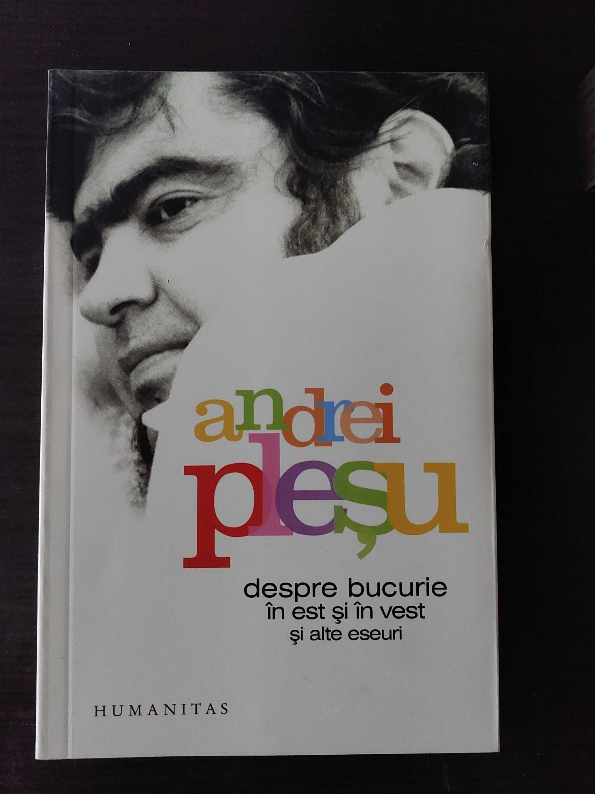 Andrei Pleșu, Despre bucurie in Est si in Vest si alte eseuri