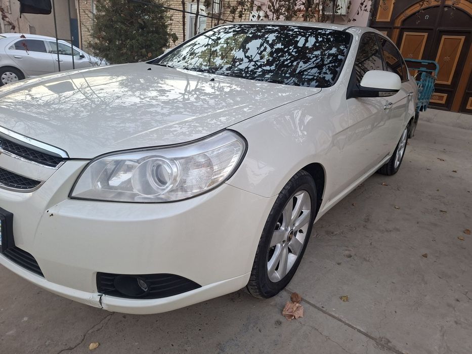 Epica rangi jemchuk, yili 2011