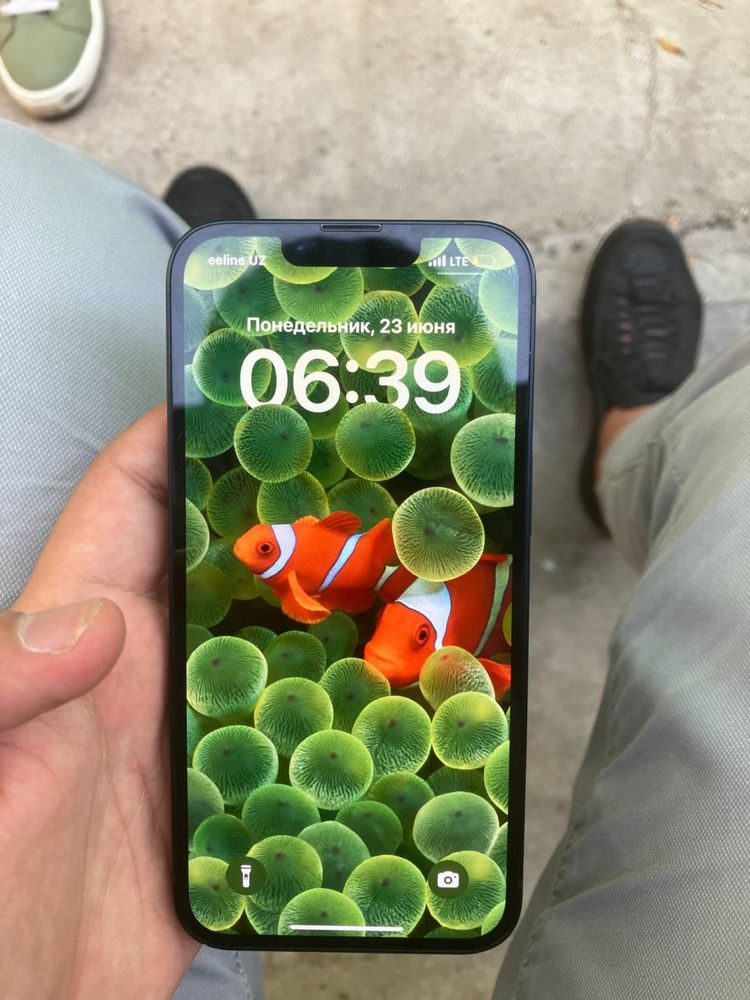 Iphone 13 Ideal