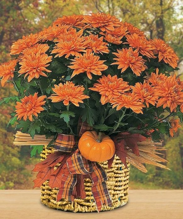 Vand miere de albine