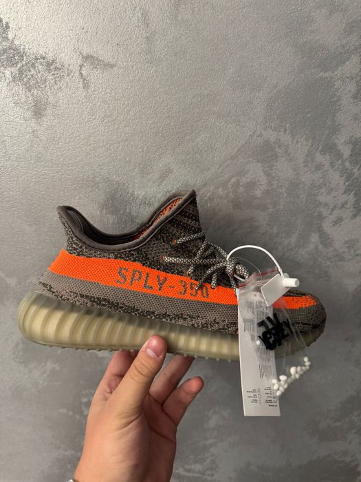 Yeezy beluga 43 si 41