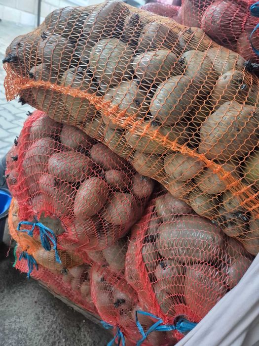 Vand cartofi pentru consum si animale